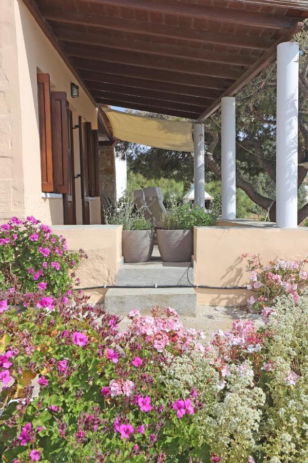 Pine Cottage, Syros Island Agros  Exterior photo